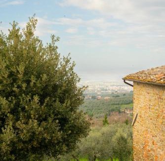 Vinci House | Villa Il Leccio Vinci