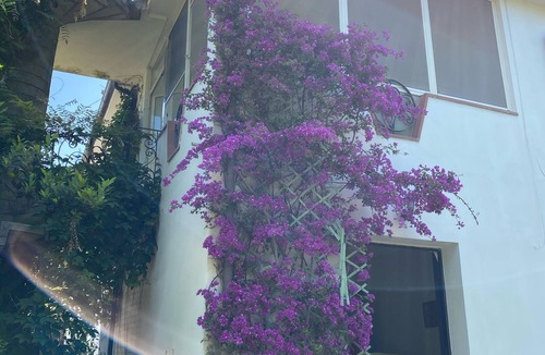Palinuro Villa | Villa Immersed in the greenery of the Cilento national park in Palinuro