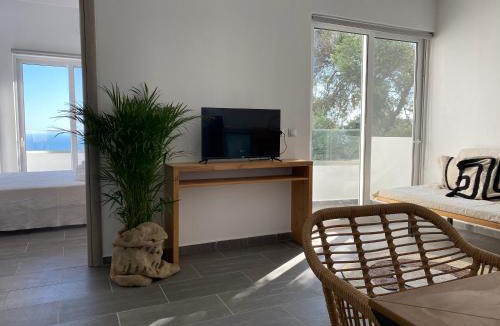 Mirthios Apartment | Villa Ioanna oliveproject