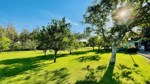Pisticci House | Villa Irene Pisticci-Matera