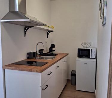 Koper Apartment | Villa Ivana