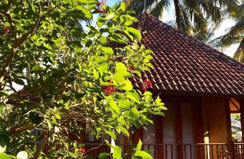 Mangsit Resort | Villa Jati Mangsit