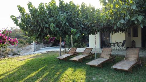 Pitsidia House | Villa Jodi