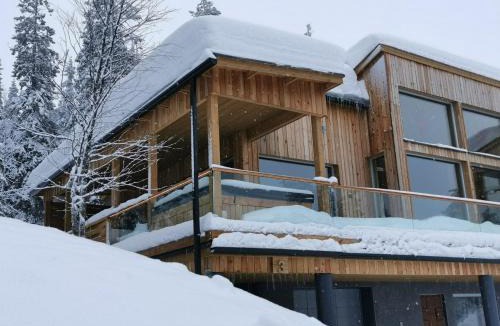 Syote Villa | Villa Kätkö
