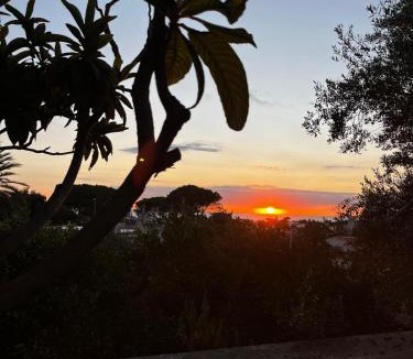 Forio Apartment | Villa Kalos - Tra il verde e il mare