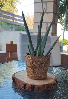 Mesi Bed & Breakfast | VILLA KARA - Creta