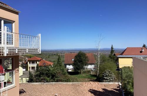 Weyher House | Villa Kunterbunt
