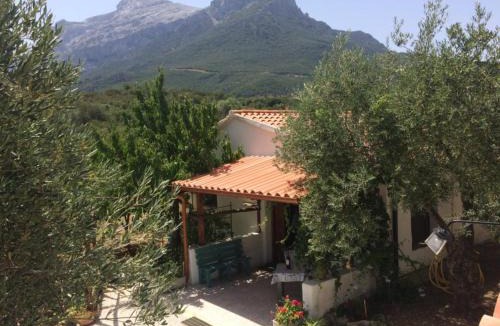 Oliena House | Villa L'Oliveto