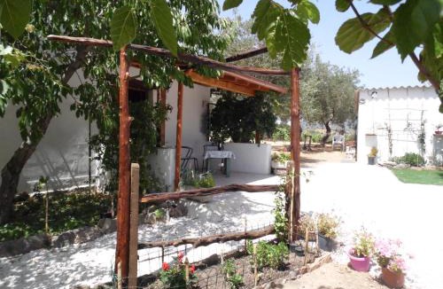Oliena House | Villa L'Oliveto