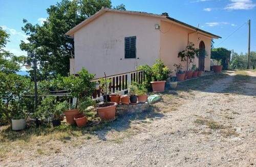 Bovara House | Villa L'Oliveto