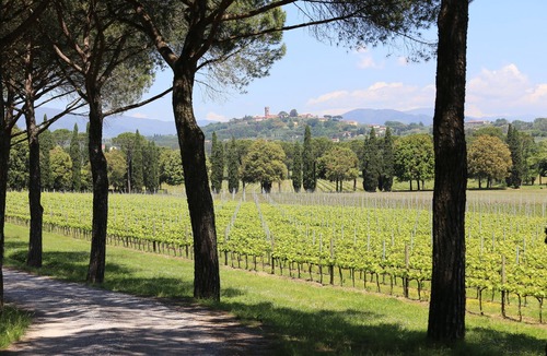Altopascio Villa | Villa La Casa Gialla in the province of Lucca