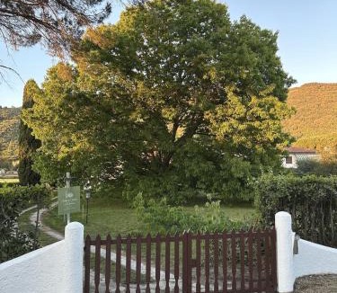 San Giuliano Terme Villa | Villa la Quercia e il Cipresso