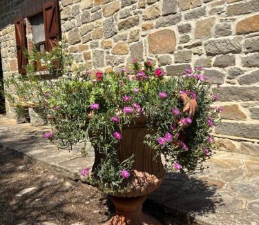Cortona House | Villa Le Dodici Querce Cortona