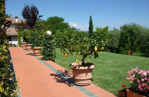 Gambassi Terme Apartment | "Villa le Ginestre": the better geographic position to visit the Tuscany.