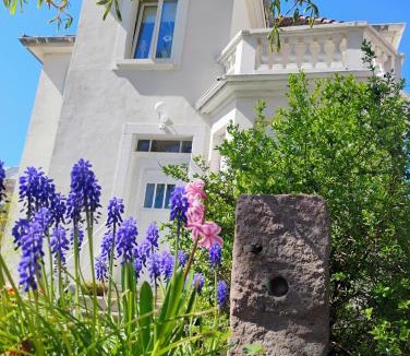 Chatenois Apartment | Villa Le Marronnier, clim, Terrasse, Parking & Spa privé, calme, entre Colmar-Riquewihr et Obernai, Route des vins d'Alsace