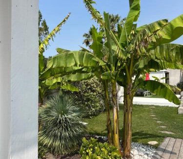 Cassis Bed & Breakfast | Villa Le Sud