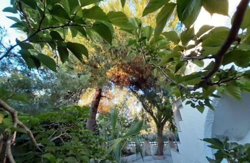 Marina di Mancaversa Villa | Villa Leda Mancaversa - CIS LE07508591000011672