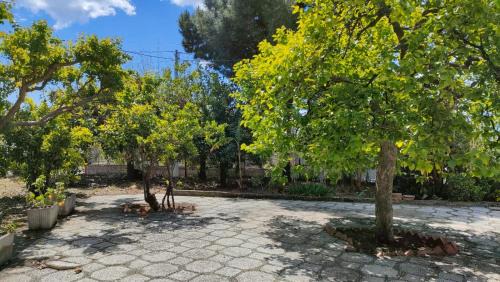 Trappitello Apartment | Villa Letizia by Holiday World