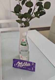 Strullendorf Apartment | Villa Levilia