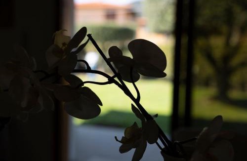Marciana Marina House | Villa Libo - HelloElba