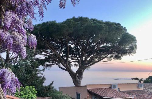 Giens Villa | Villa Lilause