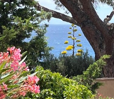 Giens Villa | Villa Lilause