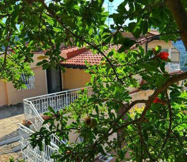 Camporosso House | Villa Lollo