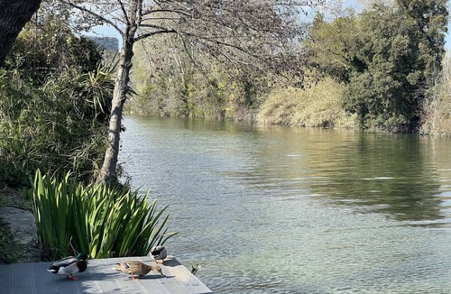 Villeneuve-Loubet Bed & Breakfast | Villa Louise-Rose
