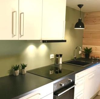 Møre og Romsdal Apartment | Villa Lovise Riverside