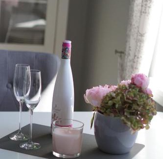 Dietrichstal Apartment | Villa Mara