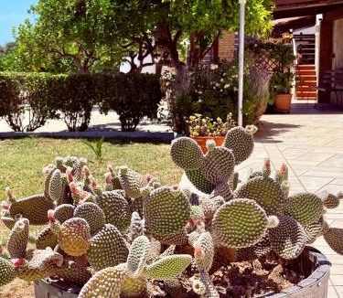 Noto House | Villa Mara Rooms