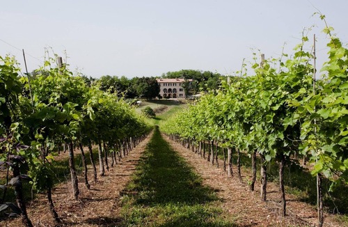 Teolo Apartment | Villa Marani monte matello