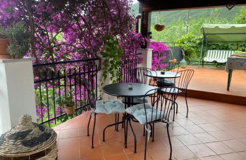 Piamboschi Bed & Breakfast | Villa Marco Aurelio