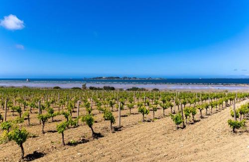 San Leonardo House | Villa mare vento