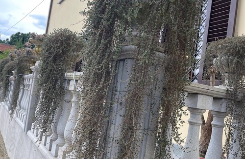 Cavriglia Apartment | Villa Maria Holiday Home in Cetinale Among the Hills