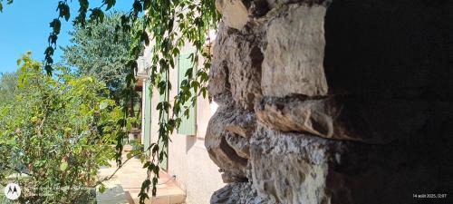 La Treille House | Villa Marie
