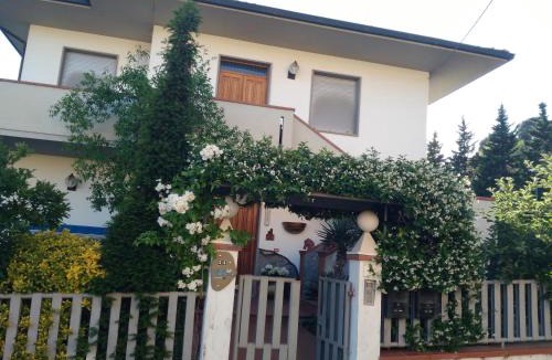 Laterina Villa | Villa Marina Big