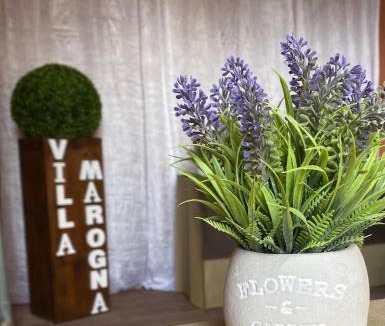La Pietraia Bed & Breakfast | Villa Marogna