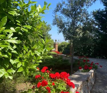 Alberobello Villa | Villa Marzano