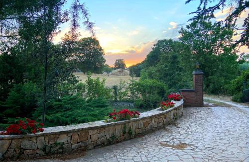 Alberobello Villa | Villa Marzano