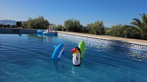 Alora Bed & Breakfast | Villa Mika
