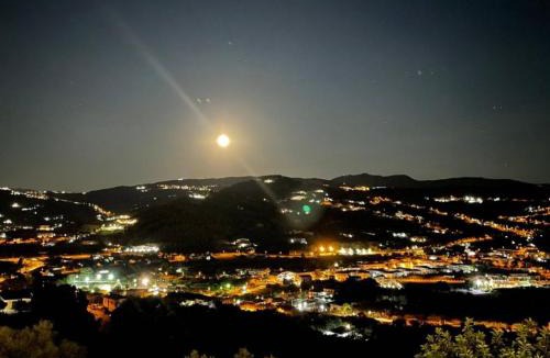 Agropoli Bed & Breakfast | Villa Milena