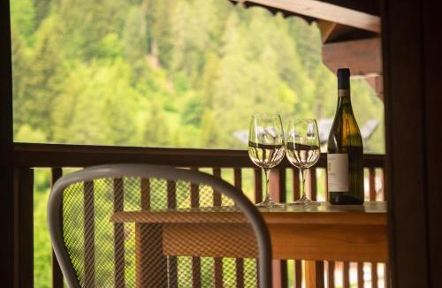 Cogolo Apartment | Villa Monari Apartment Riverside Terrace