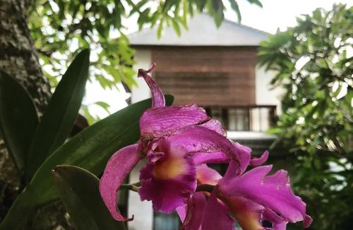 Sanur House | Villa Mudha 3 Sanur