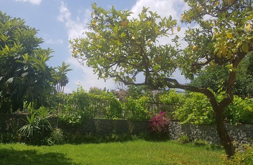 Capo Mulini Villa | Villa Muse Holiday oasis by the sea of CapoMulini-Acireale Holiday Rental