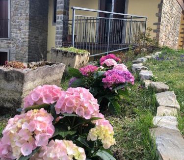 Roncoscaglia Apartment | Villa Natale
