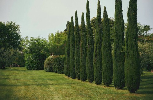 Orentano Villa | Villa Niccolai: Charming Tuscan Villa with Luxury Private Pool & Shading Park