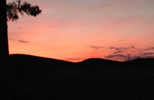 Castelfiorentino Bed & Breakfast | Villa Niccoli