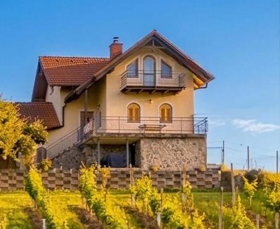 Ormoz Villa | Villa Nives, wine region Jeruzalem