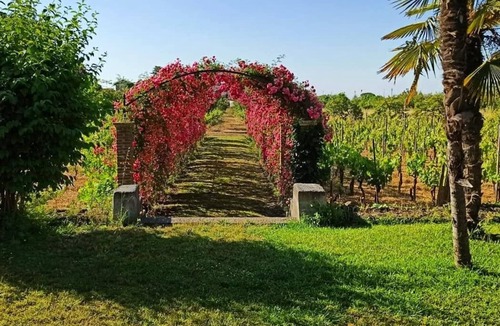 Mascalucia Villa | Villa Nobiliare Parco e Vigneto, a 15 Min. Catania, 20 Min. Etna,30 Min.taormina